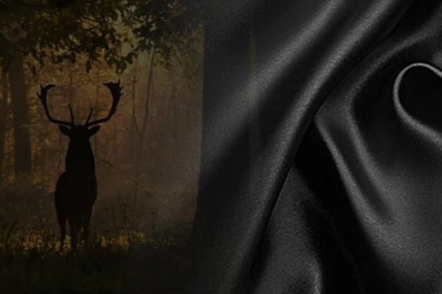 ACERCA DE JAECOO 7 COCHE